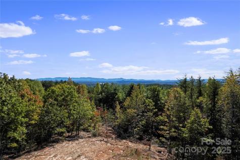 9028 Shortoff View Terrace Nebo NC 28761