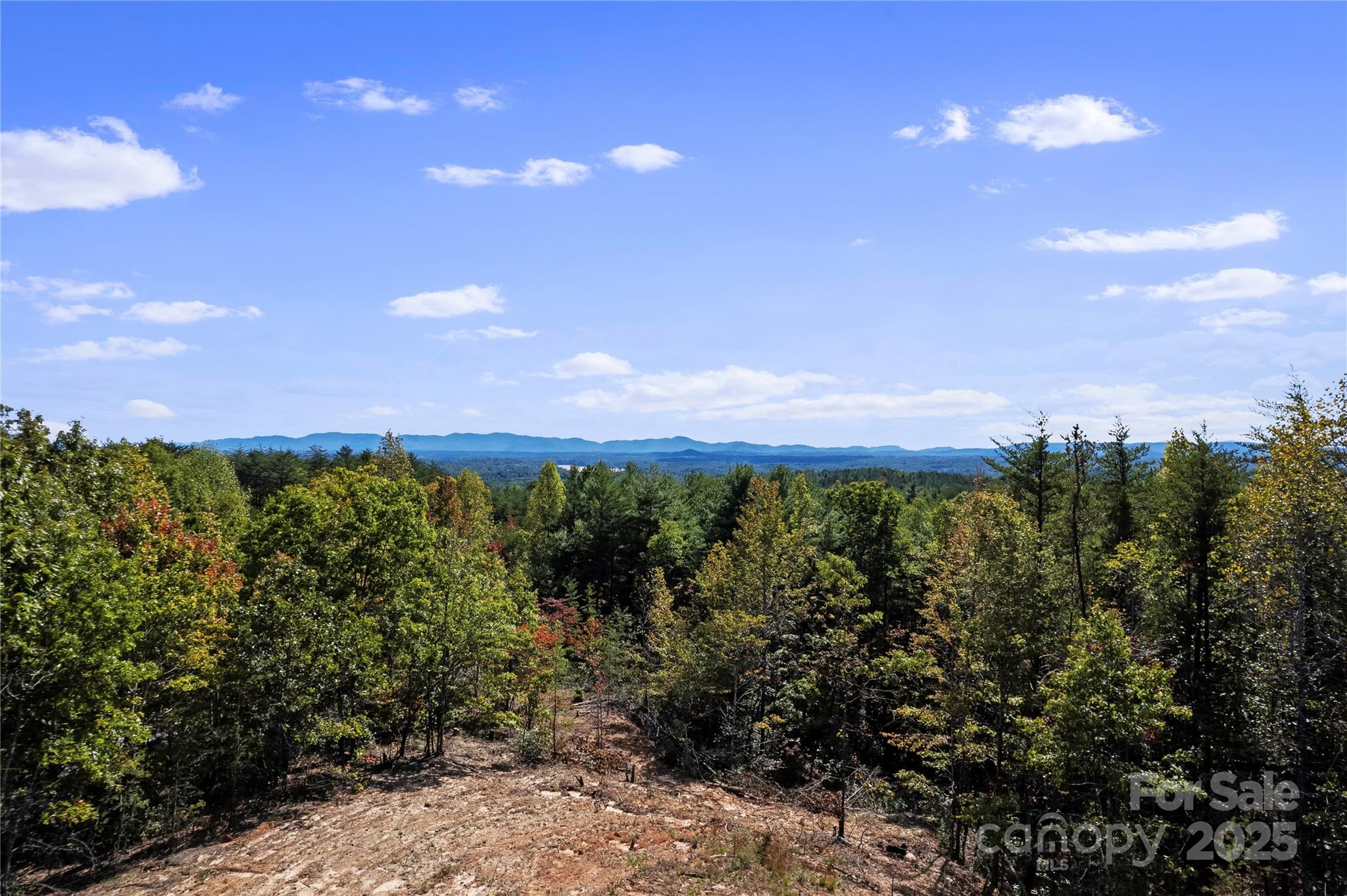 9028 Shortoff View Terrace Nebo NC 28761