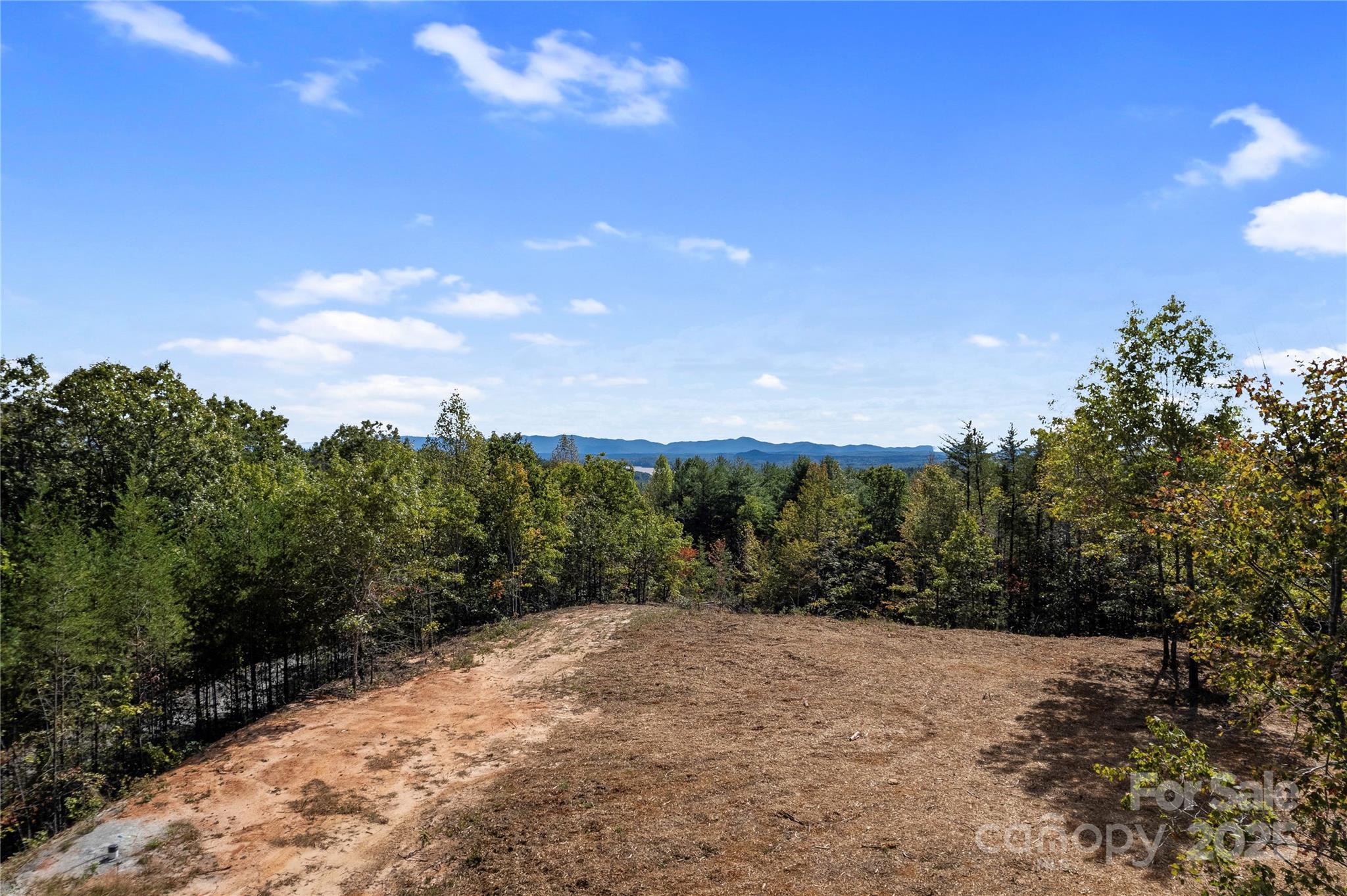 9028 Shortoff View Terrace Nebo NC 28761