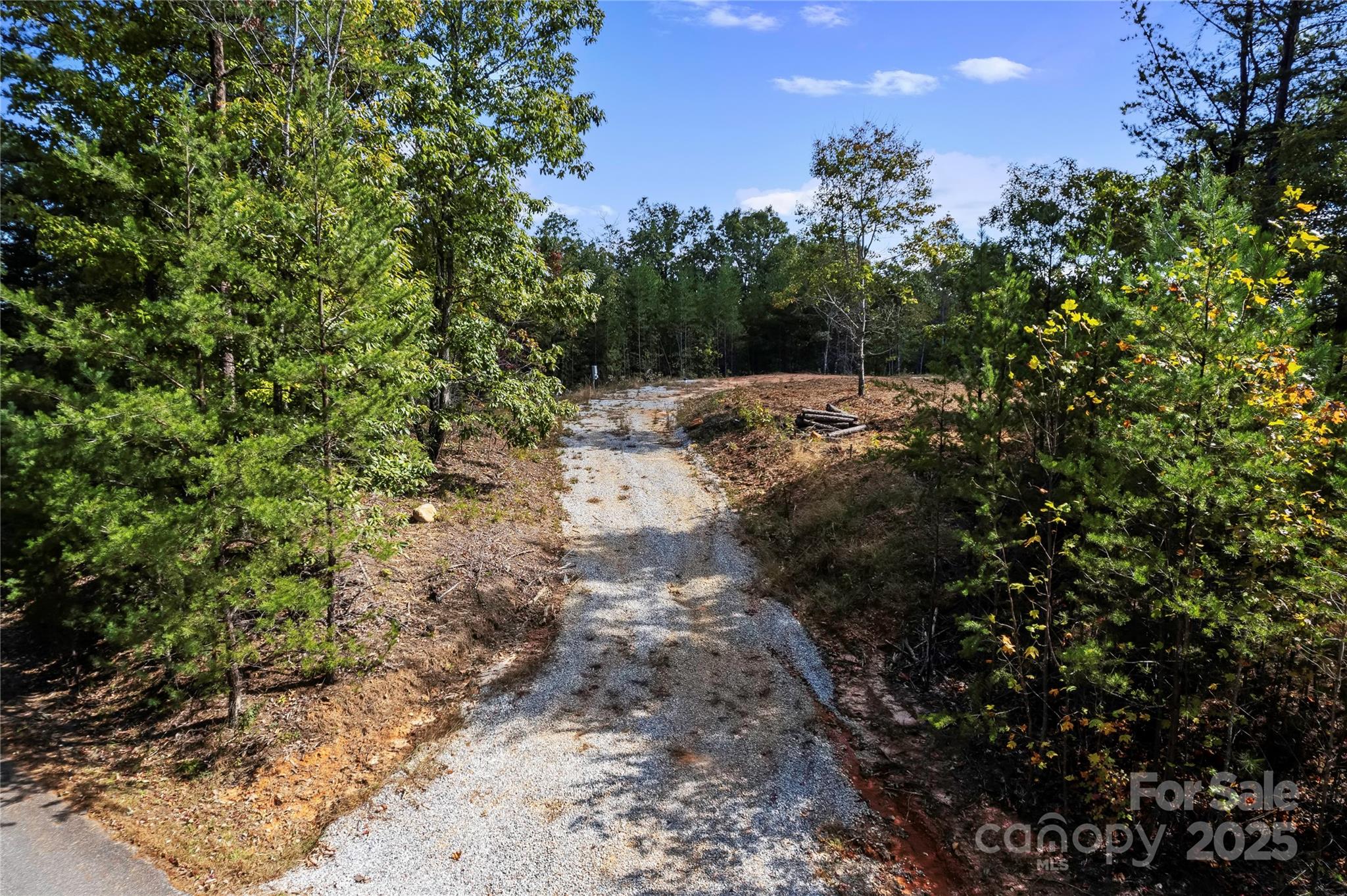 9028 Shortoff View Terrace Nebo NC 28761