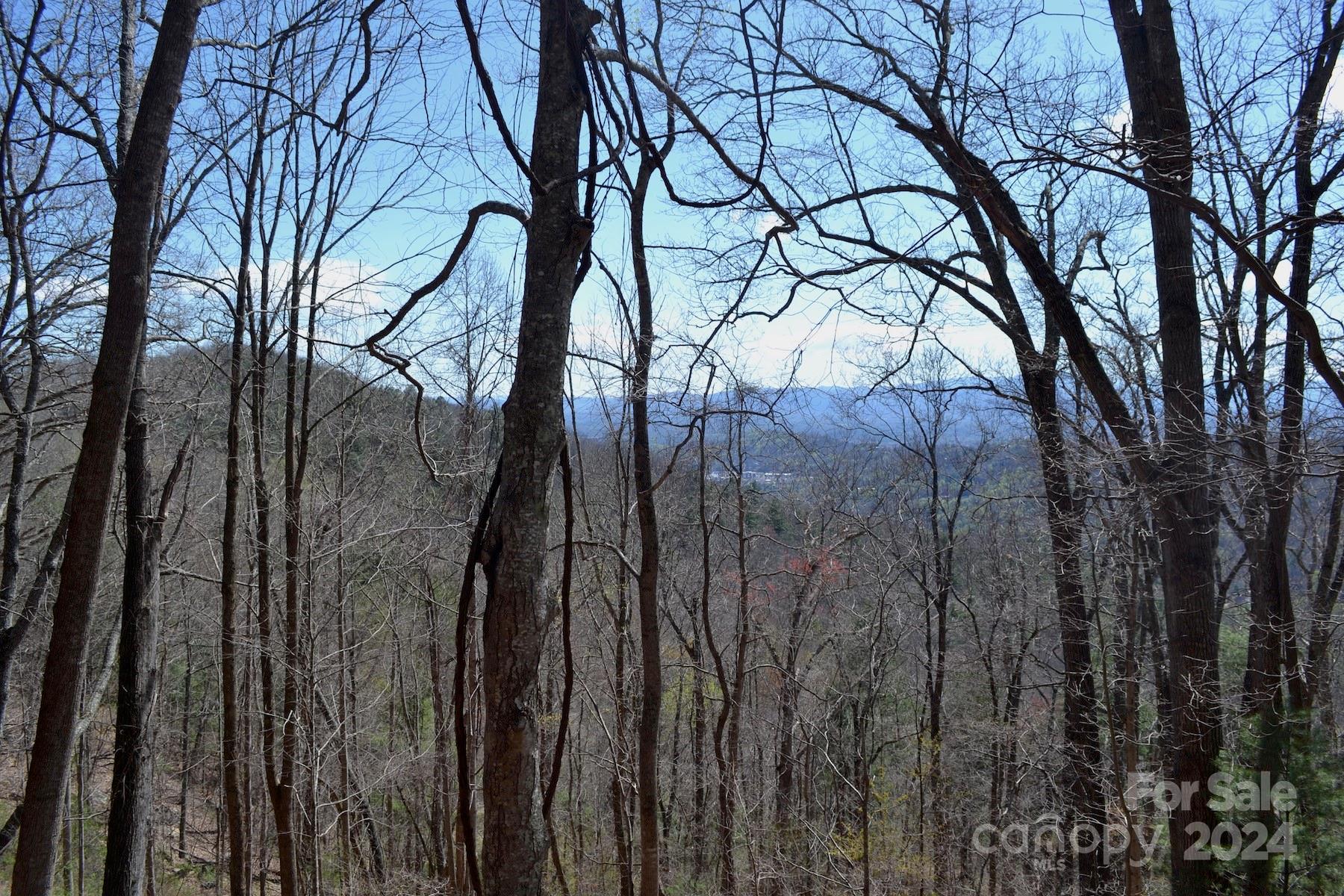 Lot 9 Town Mountain Road Asheville NC 28804