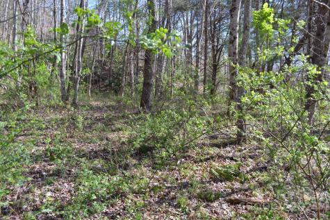 Lot 9 Town Mountain Road Asheville NC 28804