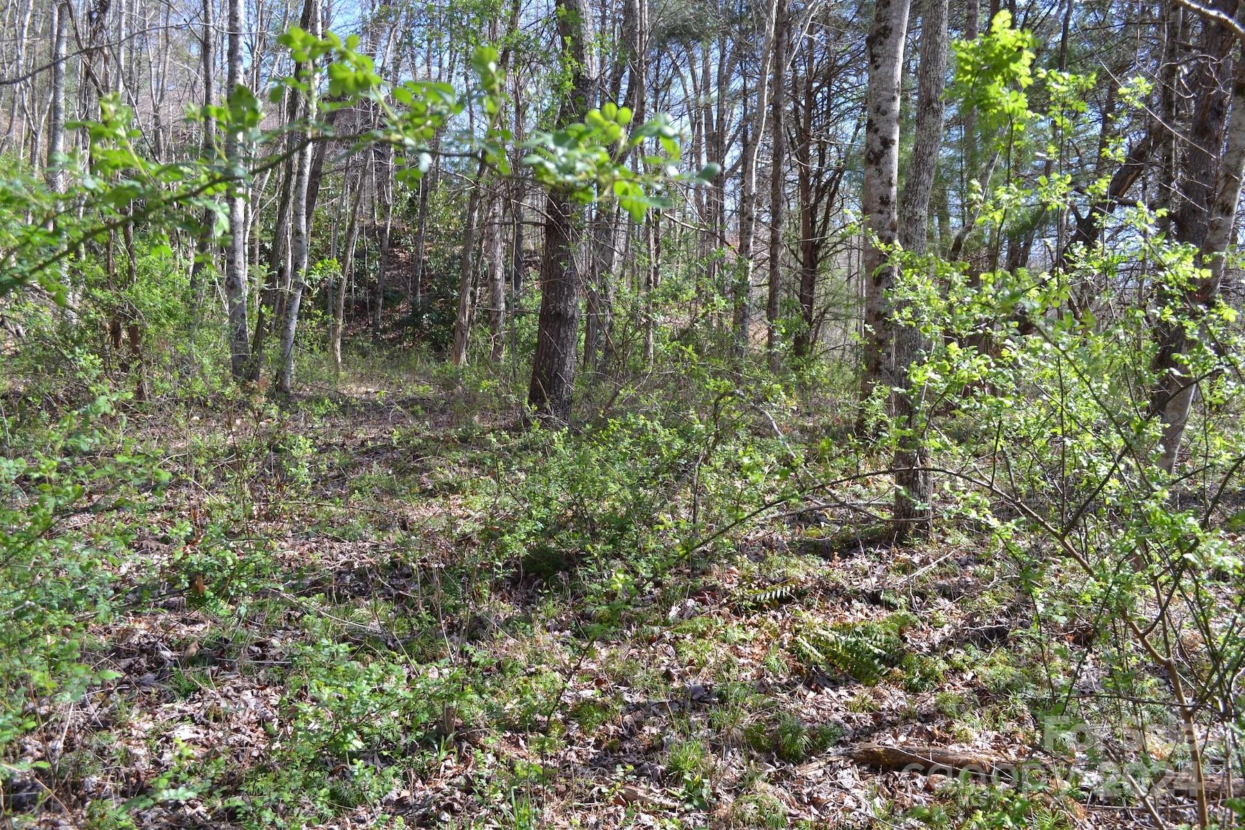 Lot 9 Town Mountain Road Asheville NC 28804
