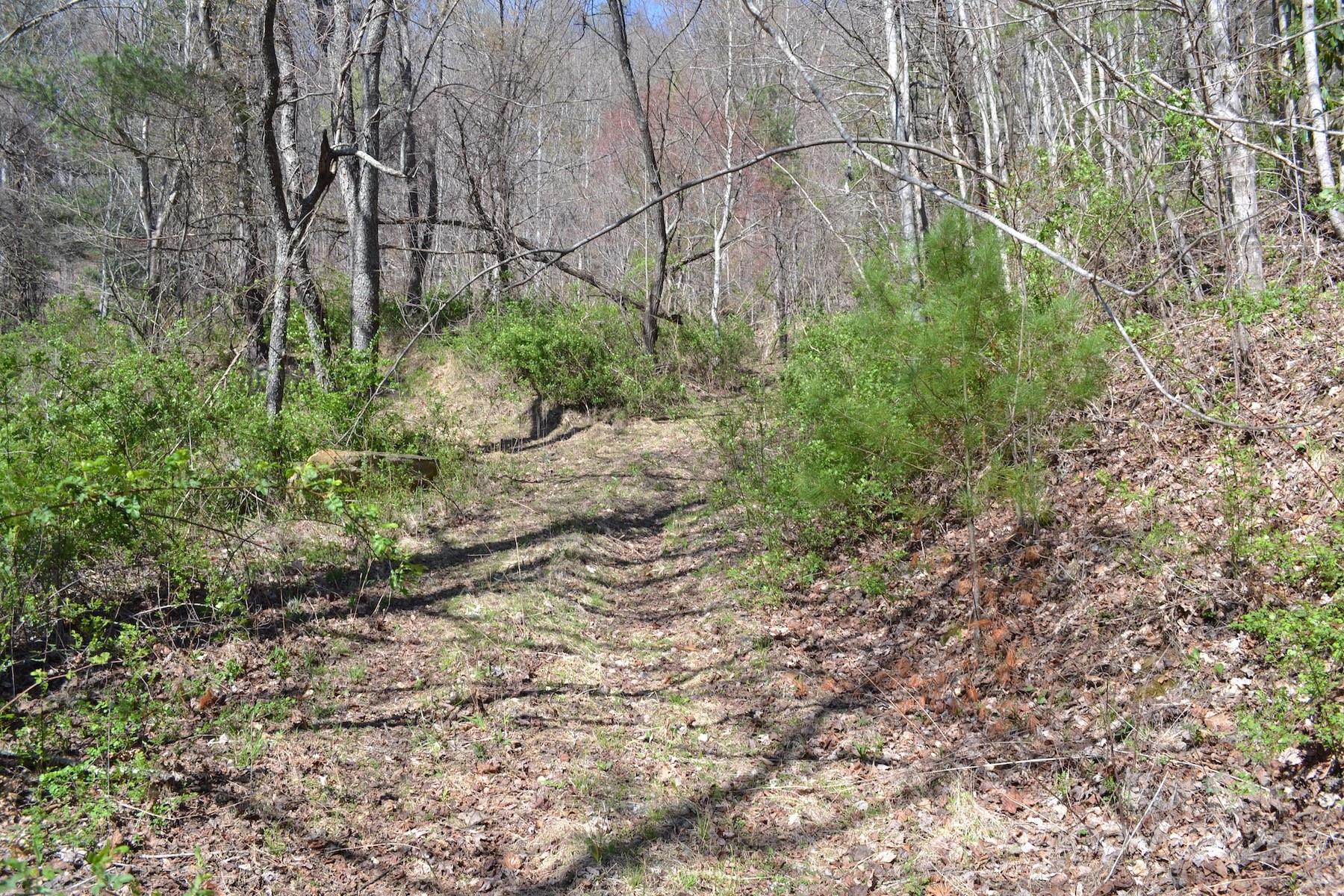 Lot 9 Town Mountain Road Asheville NC 28804