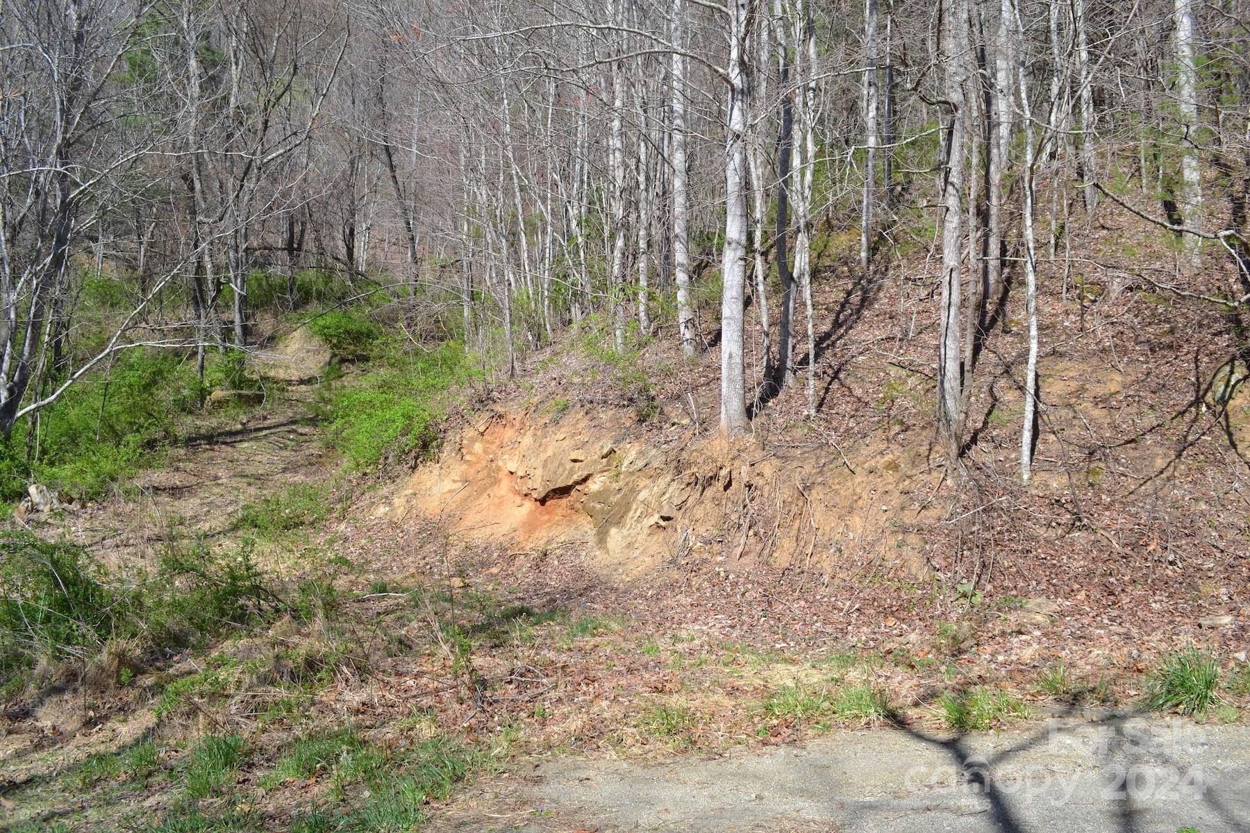 Lot 9 Town Mountain Road Asheville NC 28804