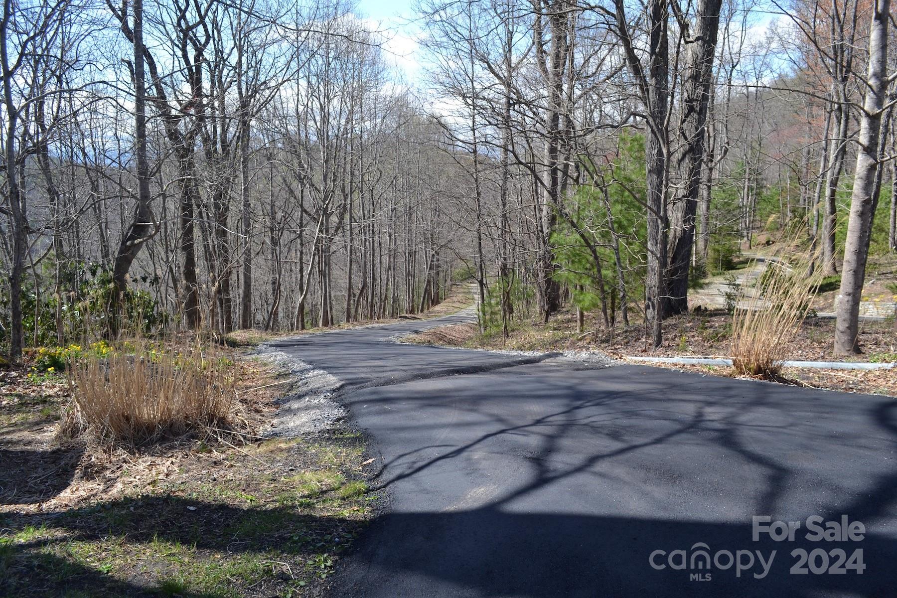 Lot 9 Town Mountain Road Asheville NC 28804