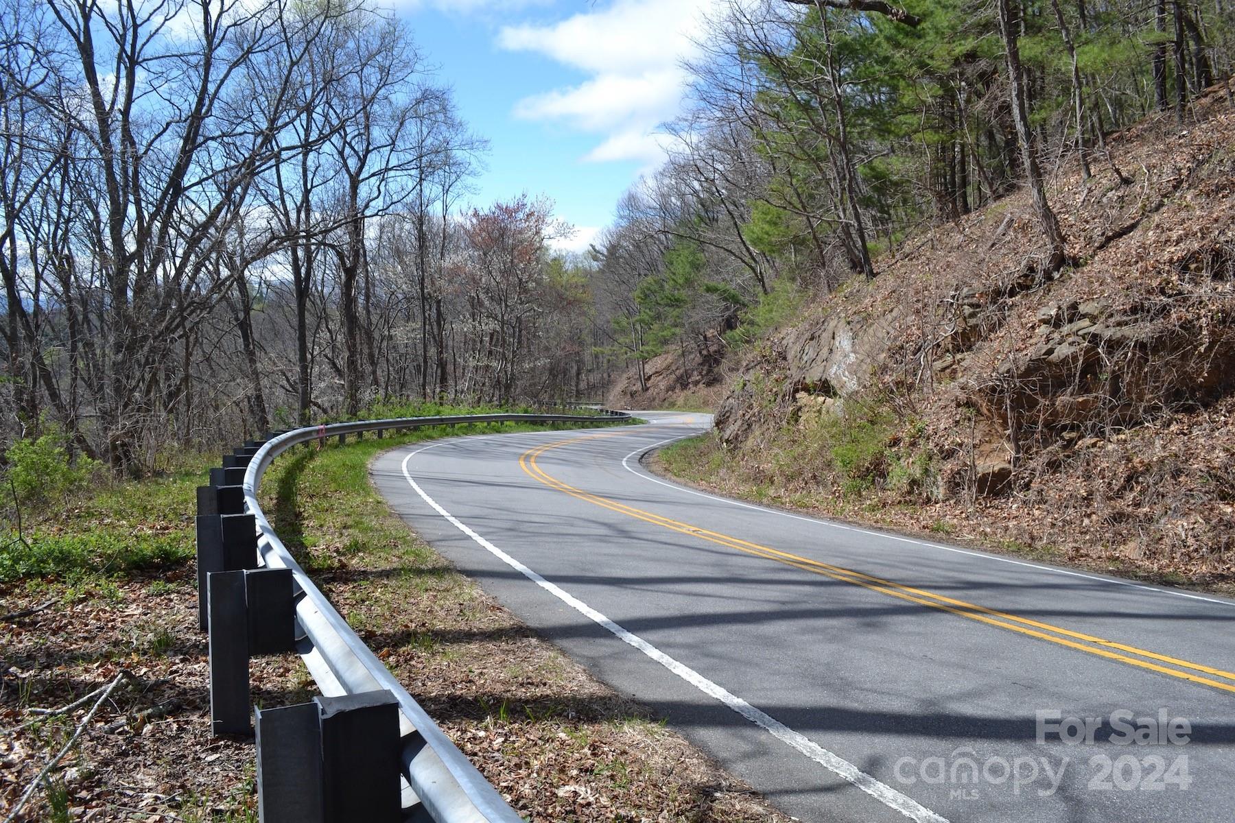 Lot 9 Town Mountain Road Asheville NC 28804