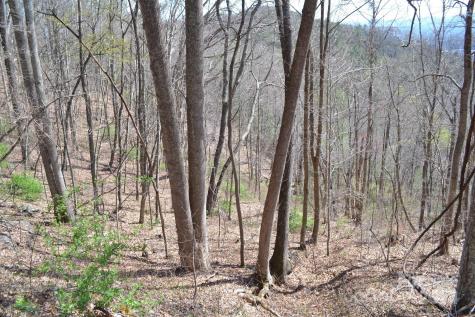 Lot 9 Town Mountain Road Asheville NC 28804