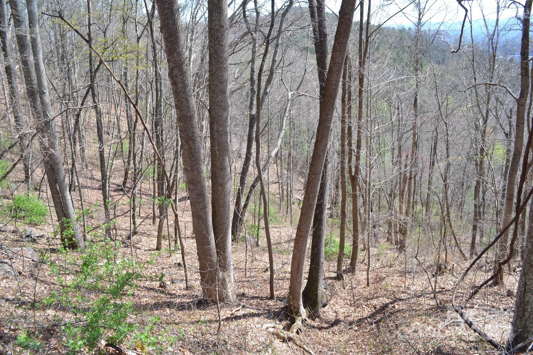 Lot 9 Town Mountain Road Asheville NC 28804