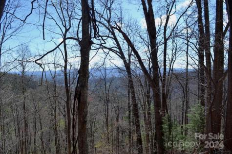 Lot 9 Town Mountain Road Asheville NC 28804
