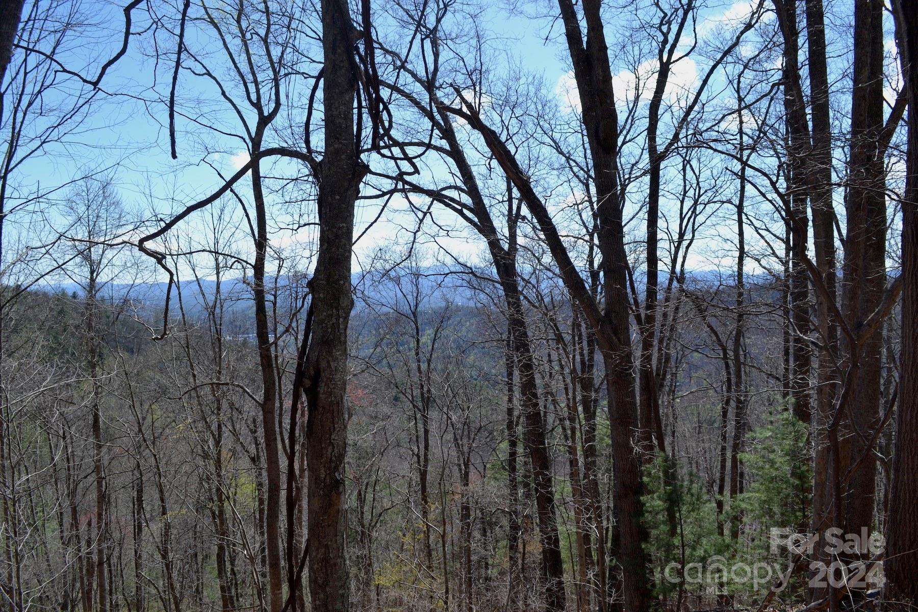 Lot 9 Town Mountain Road Asheville NC 28804