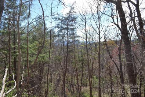 Lot 9 Town Mountain Road Asheville NC 28804