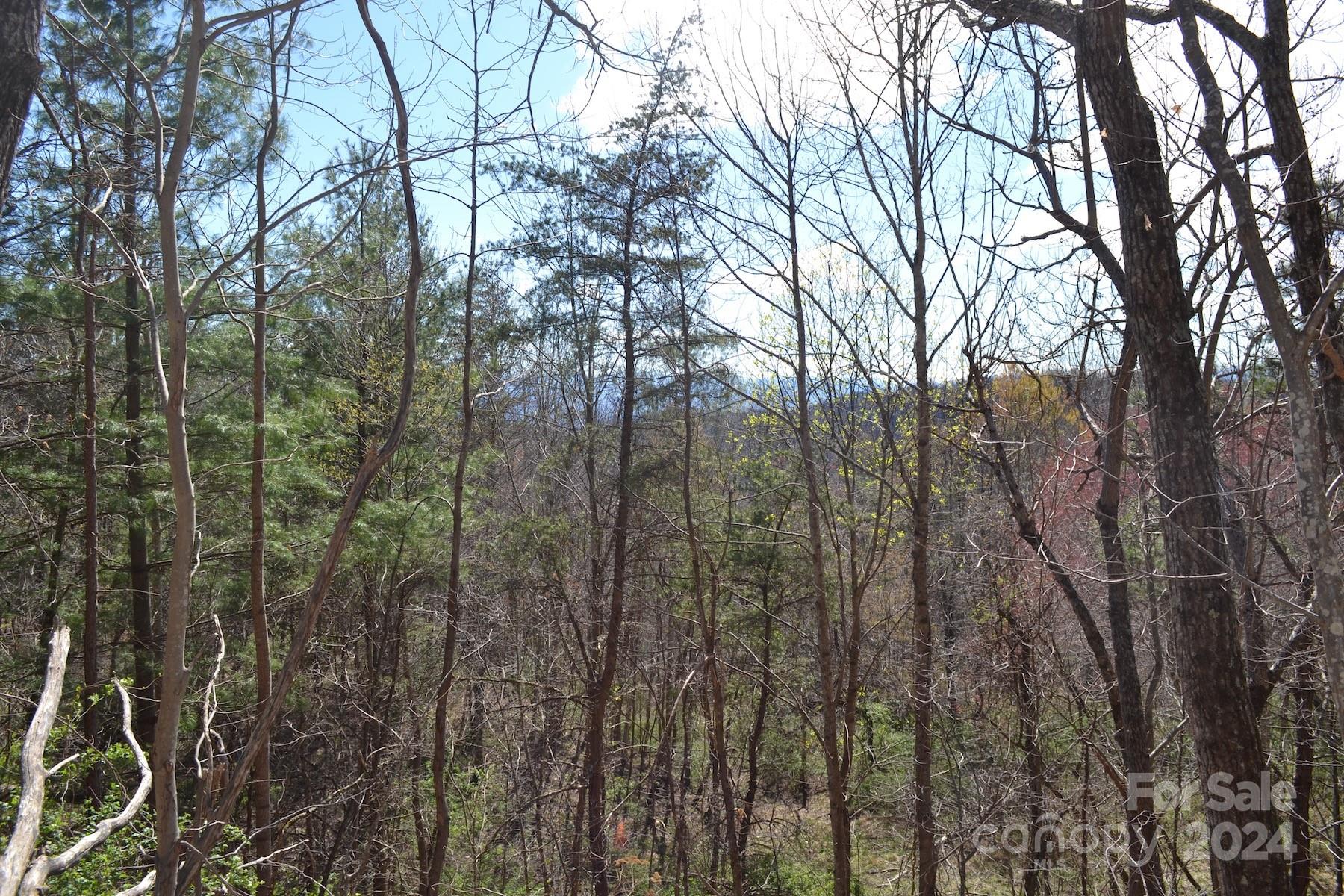 Lot 9 Town Mountain Road Asheville NC 28804