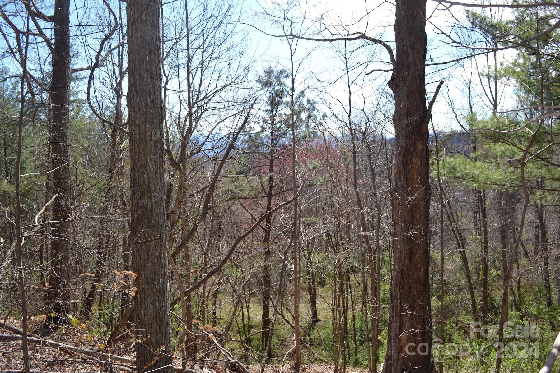 Lot 9 Town Mountain Road Asheville NC 28804