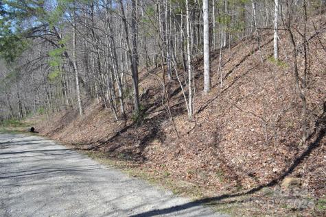 Lot 9 Town Mountain Road Asheville NC 28804