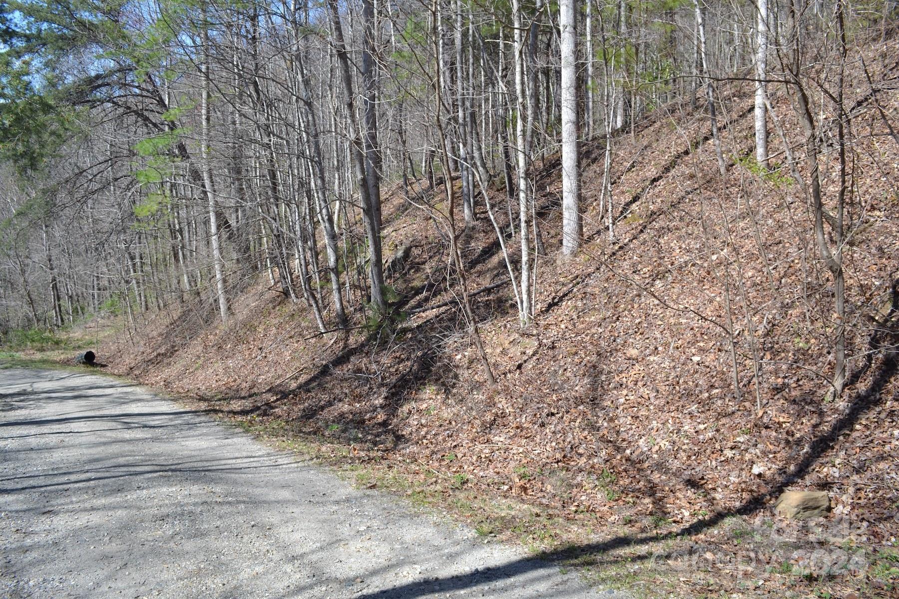 Lot 9 Town Mountain Road Asheville NC 28804