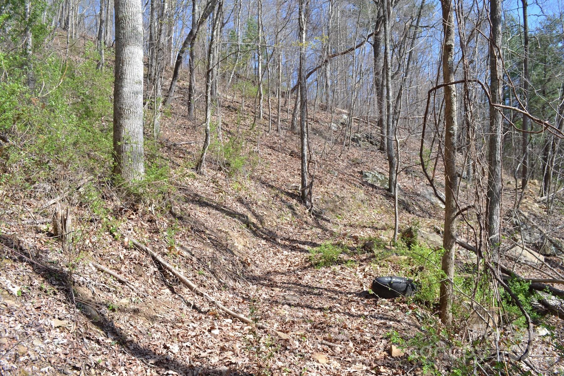 Lot 9 Town Mountain Road Asheville NC 28804