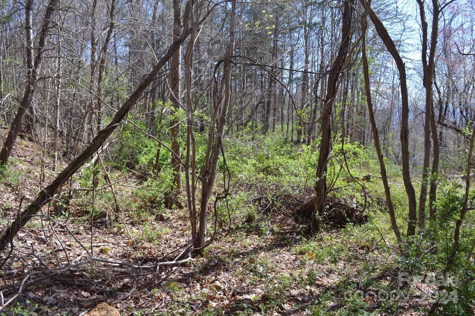 Lot 9 Town Mountain Road Asheville NC 28804