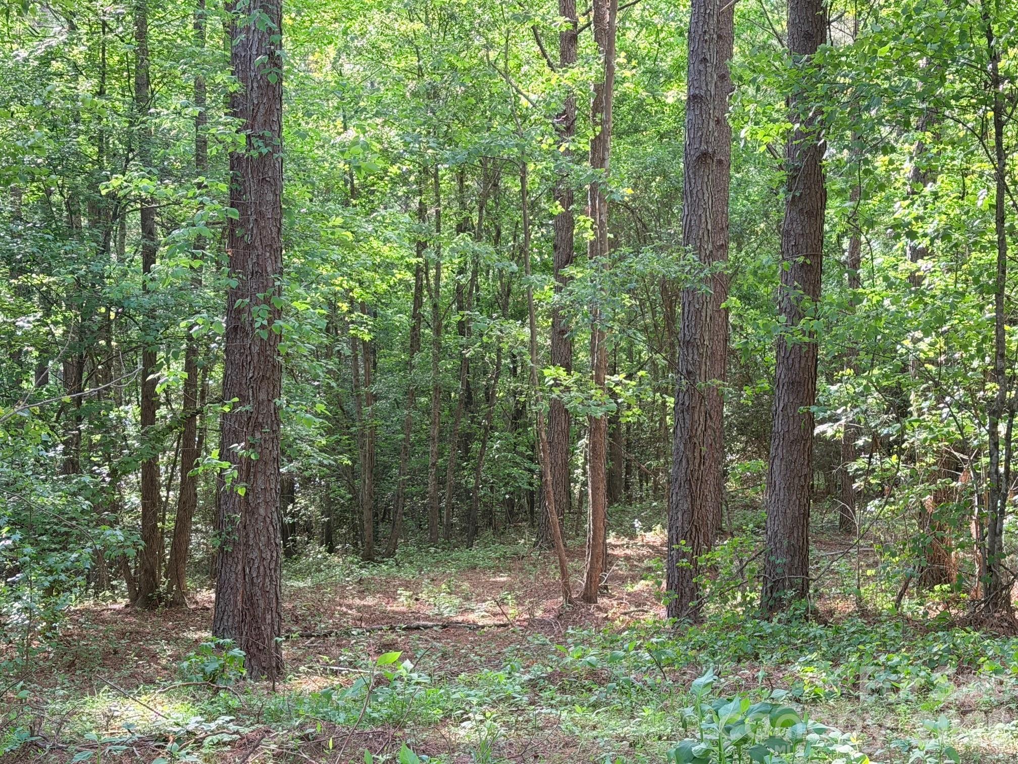 0 Morrow Motor Road Forest City NC 28043