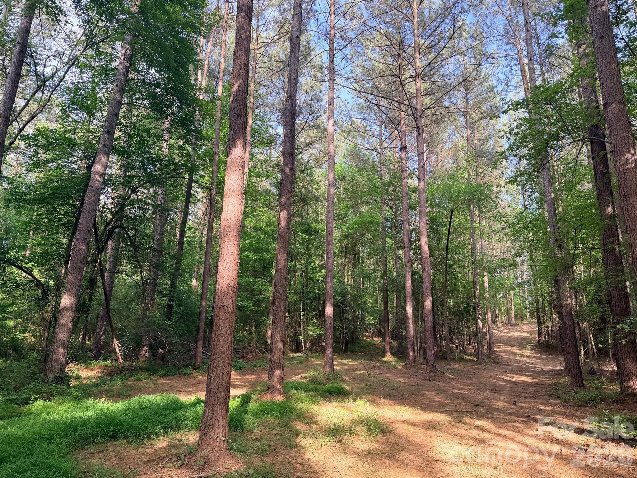 0 Morrow Motor Road Forest City NC 28043