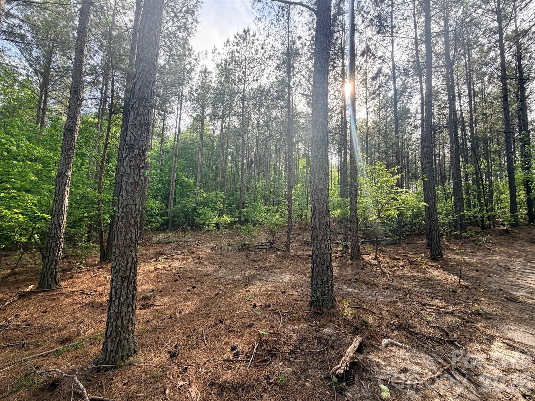 0 Morrow Motor Road Forest City NC 28043