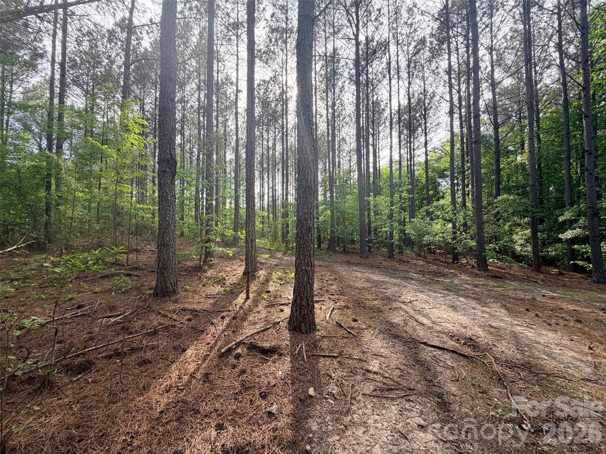 0 Morrow Motor Road Forest City NC 28043
