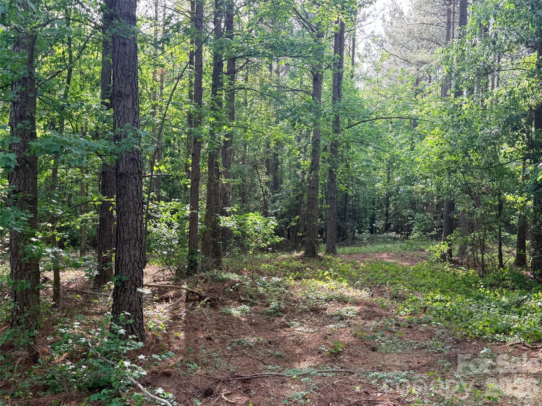 0 Morrow Motor Road Forest City NC 28043