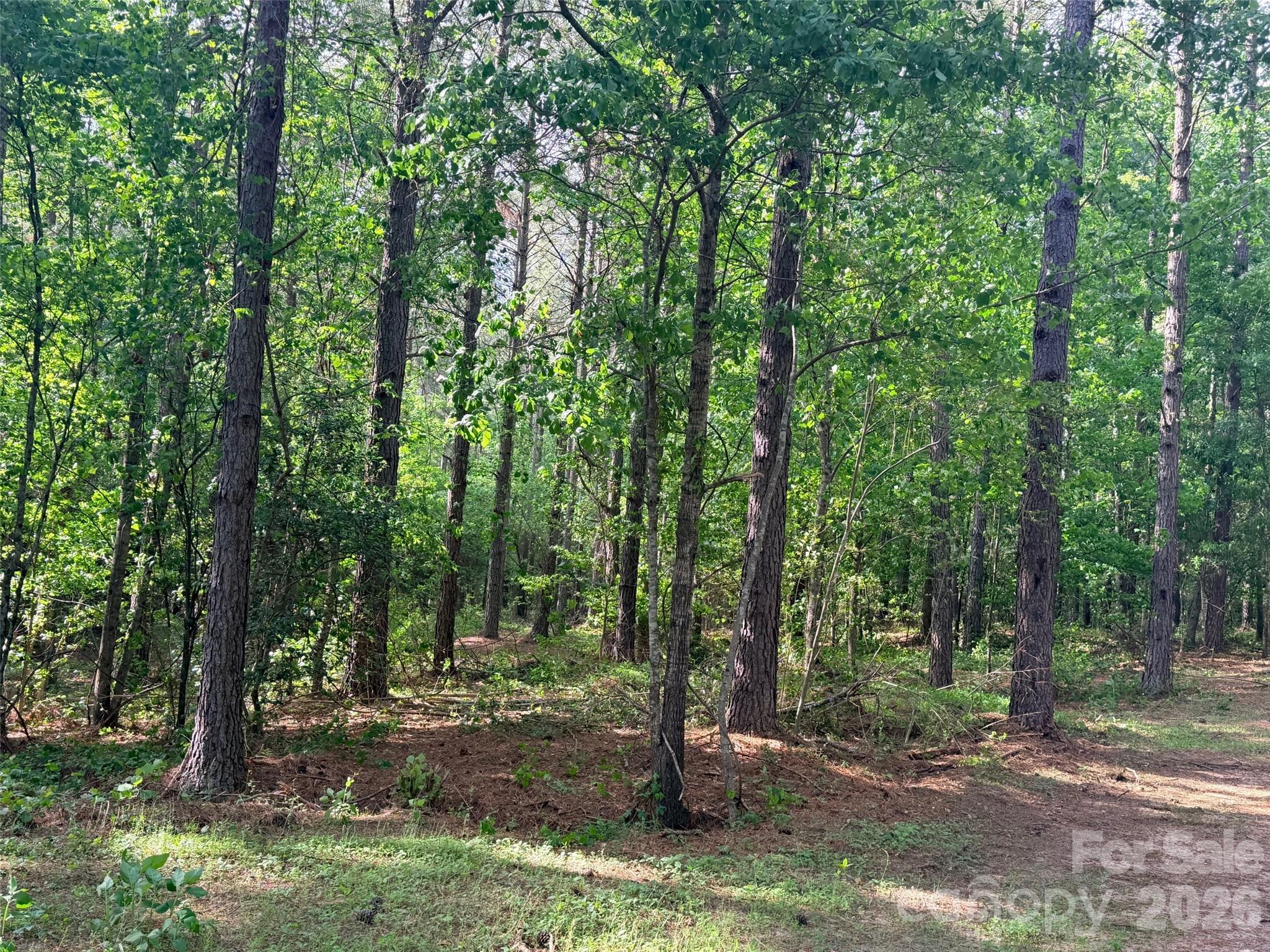 0 Morrow Motor Road Forest City NC 28043
