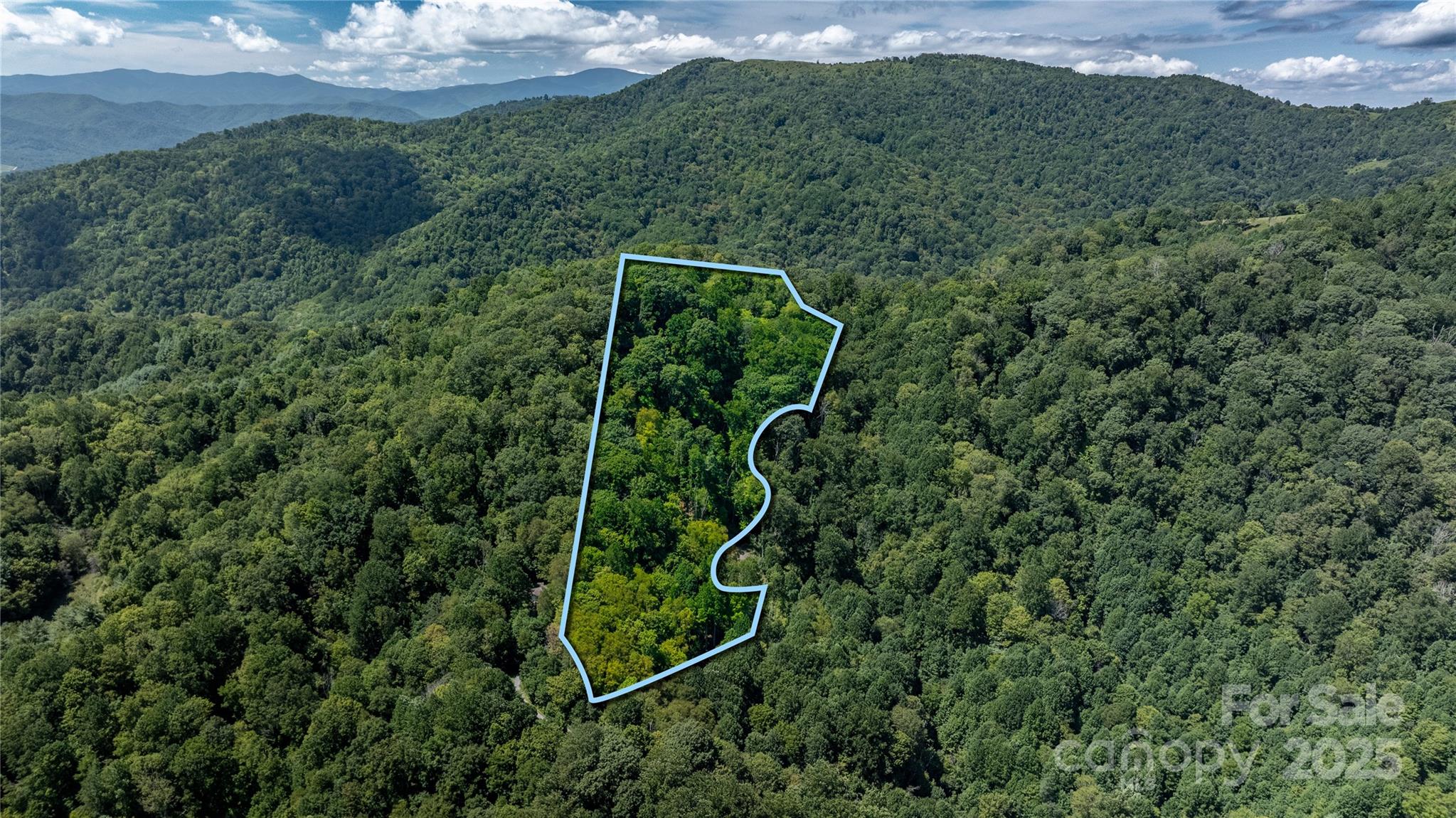 0000 Short Ridge Lane Clyde NC 28721