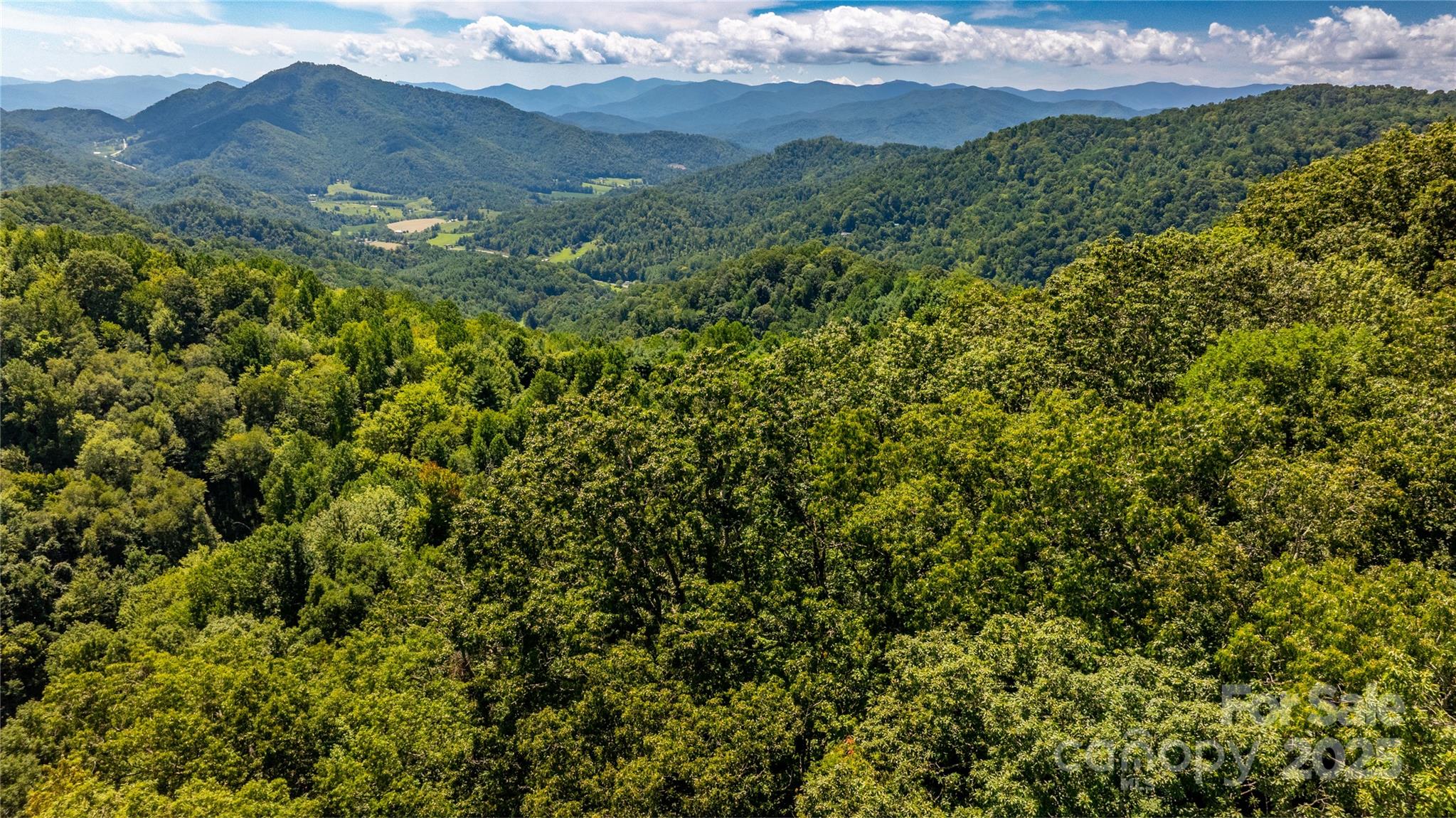 0000 Short Ridge Lane Clyde NC 28721