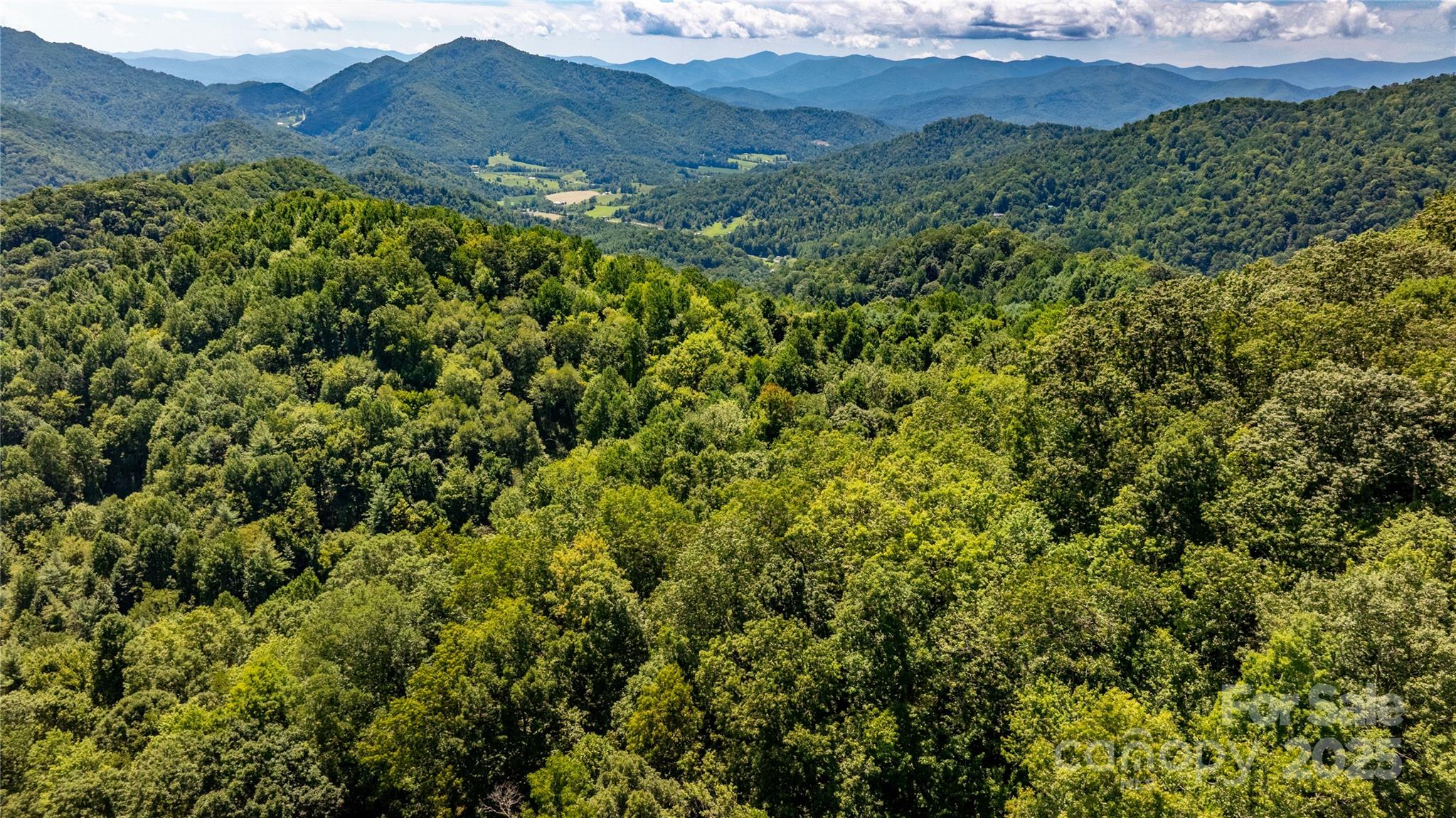 0000 Short Ridge Lane Clyde NC 28721