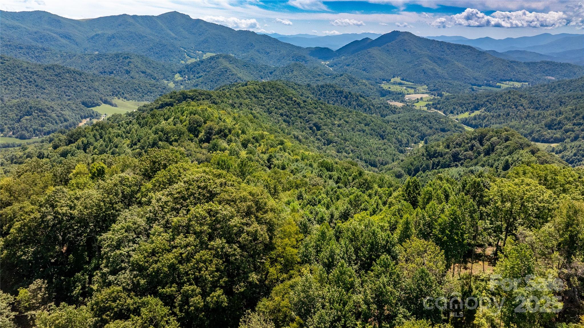 0000 Short Ridge Lane Clyde NC 28721