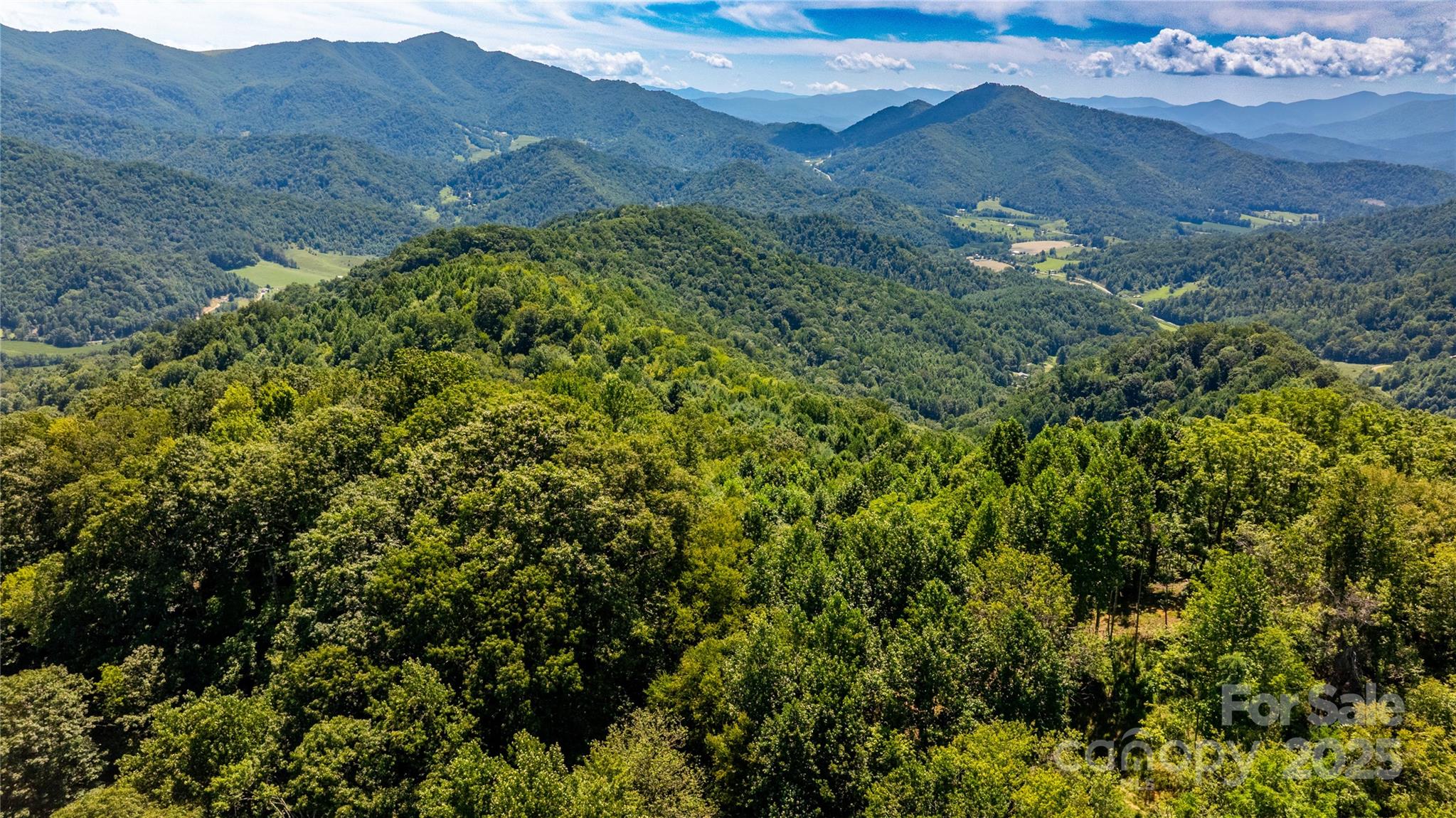 0000 Short Ridge Lane Clyde NC 28721