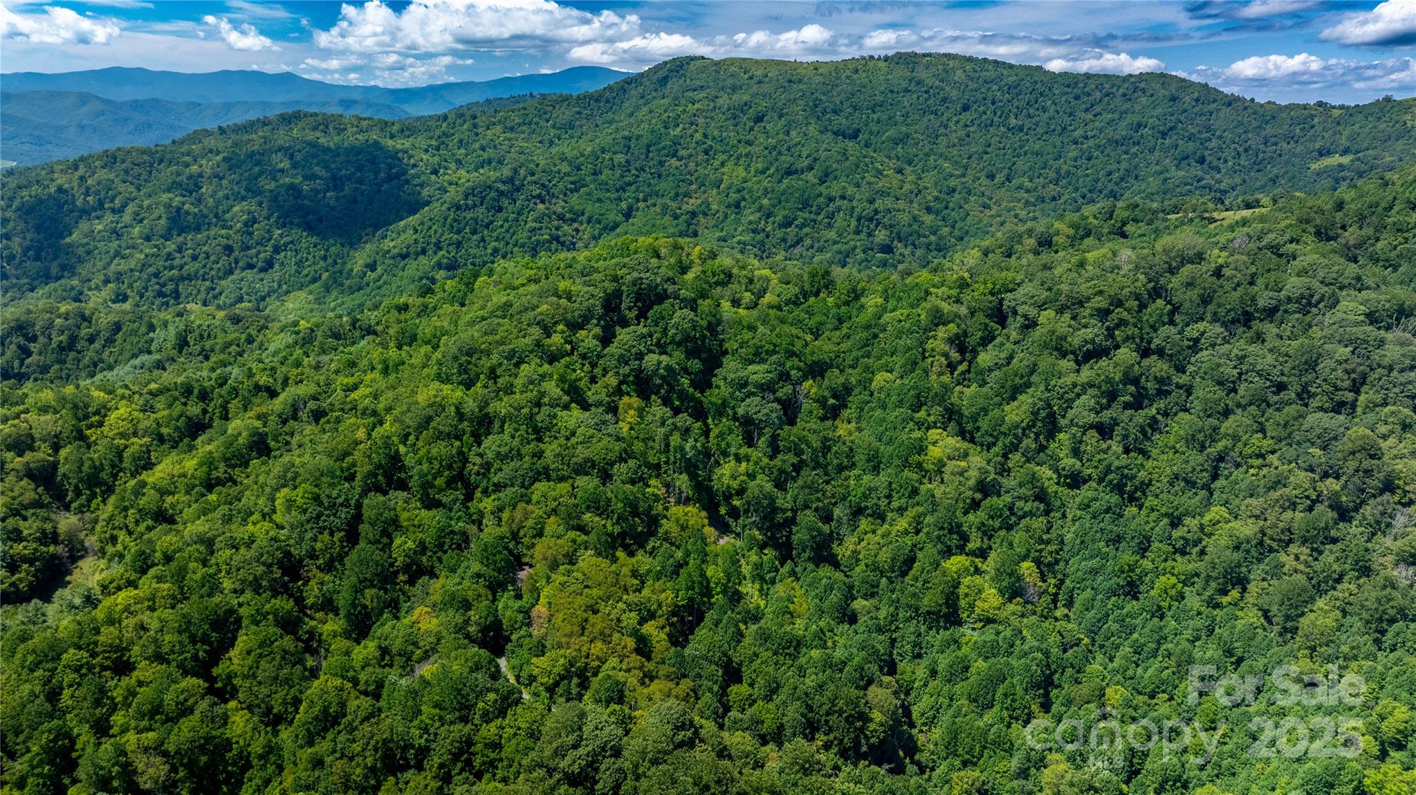 0000 Short Ridge Lane Clyde NC 28721