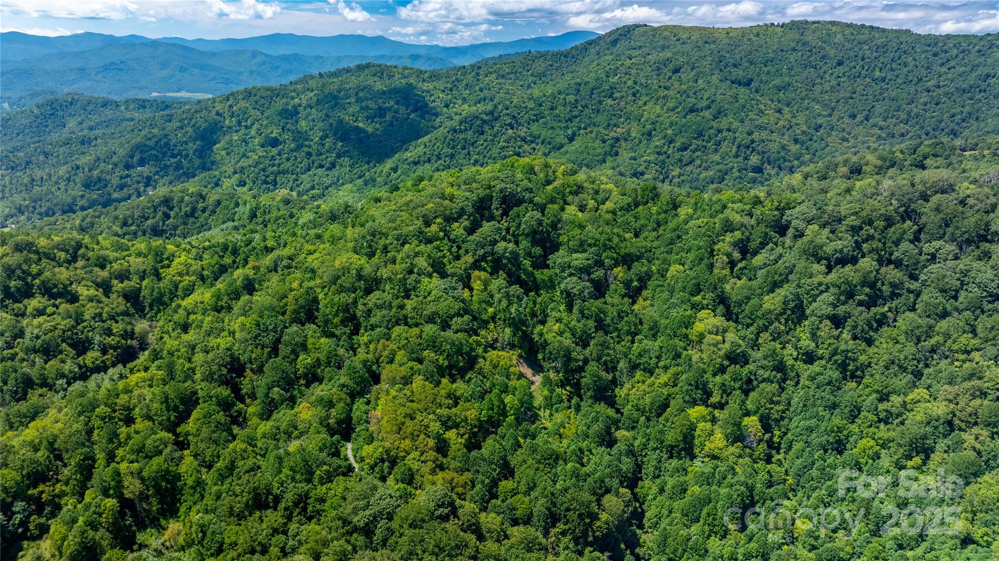 0000 Short Ridge Lane Clyde NC 28721