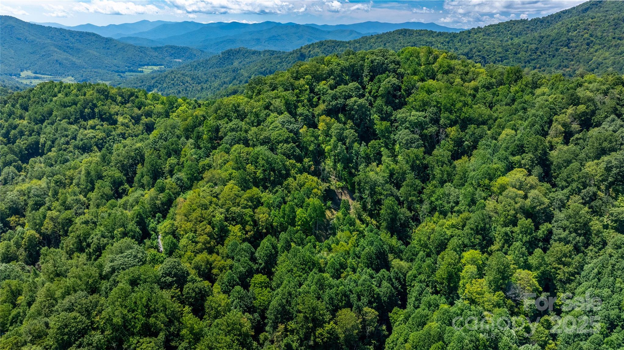 0000 Short Ridge Lane Clyde NC 28721