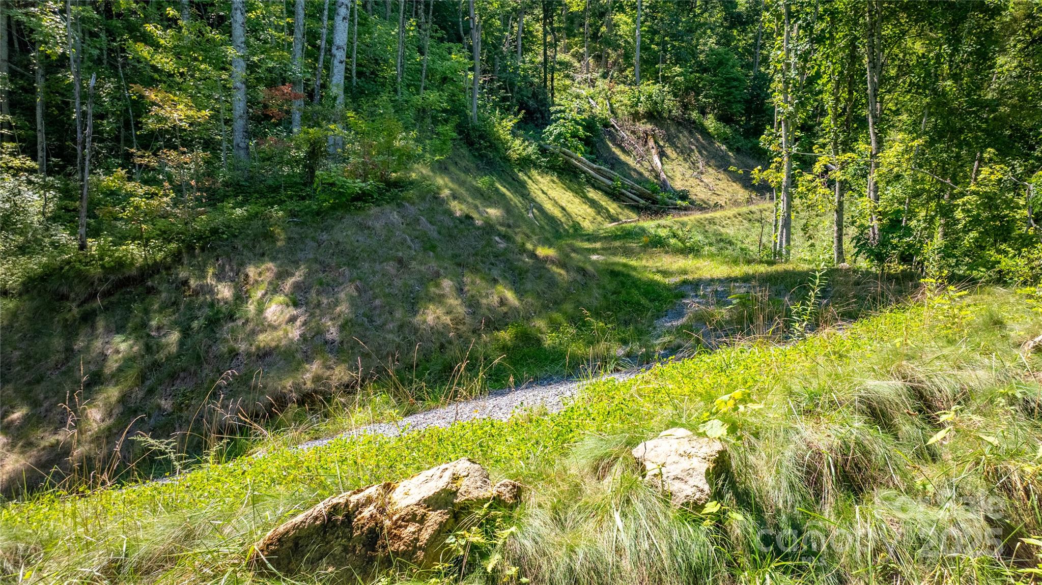 0000 Short Ridge Lane Clyde NC 28721