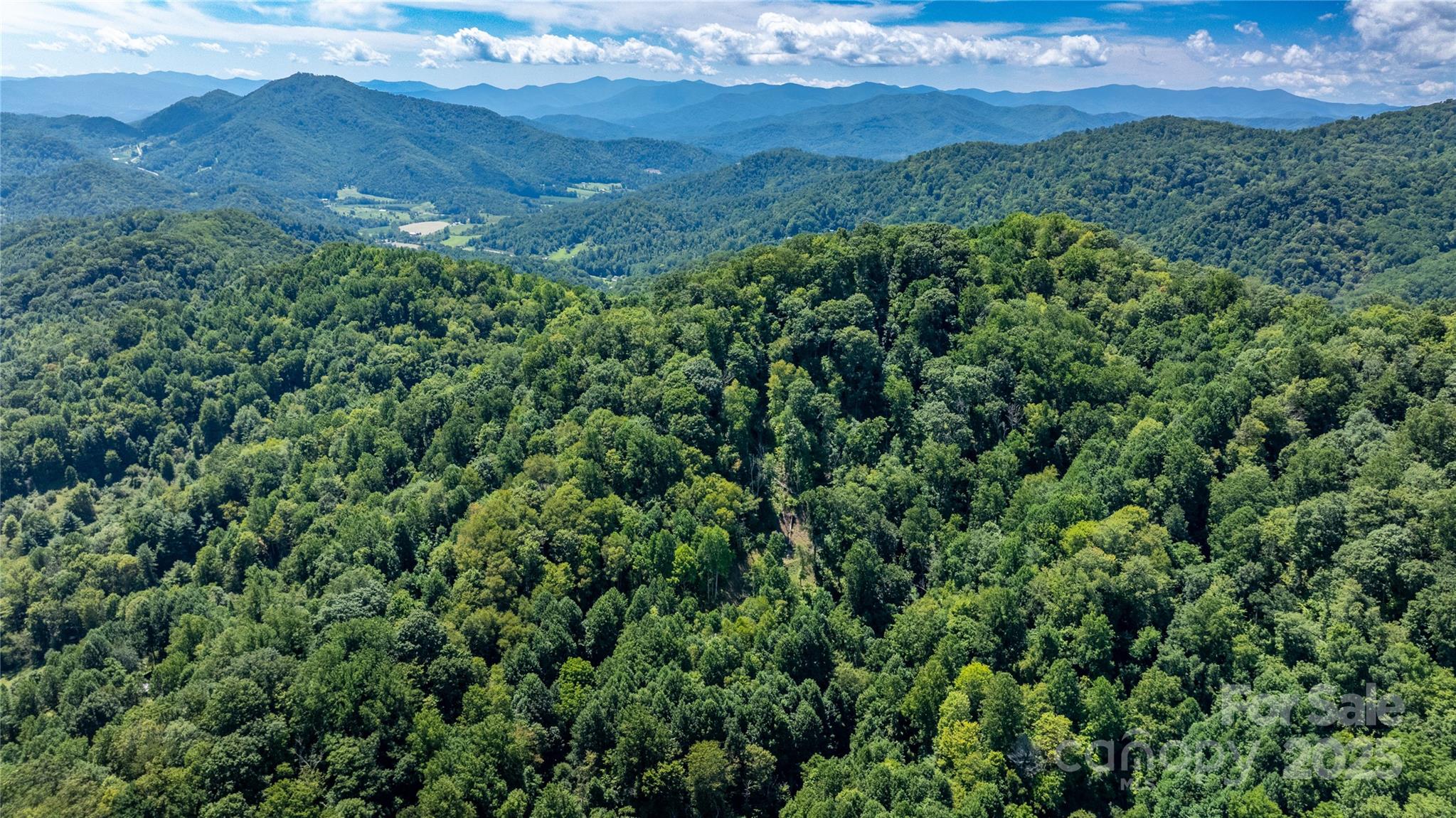 0000 Short Ridge Lane Clyde NC 28721