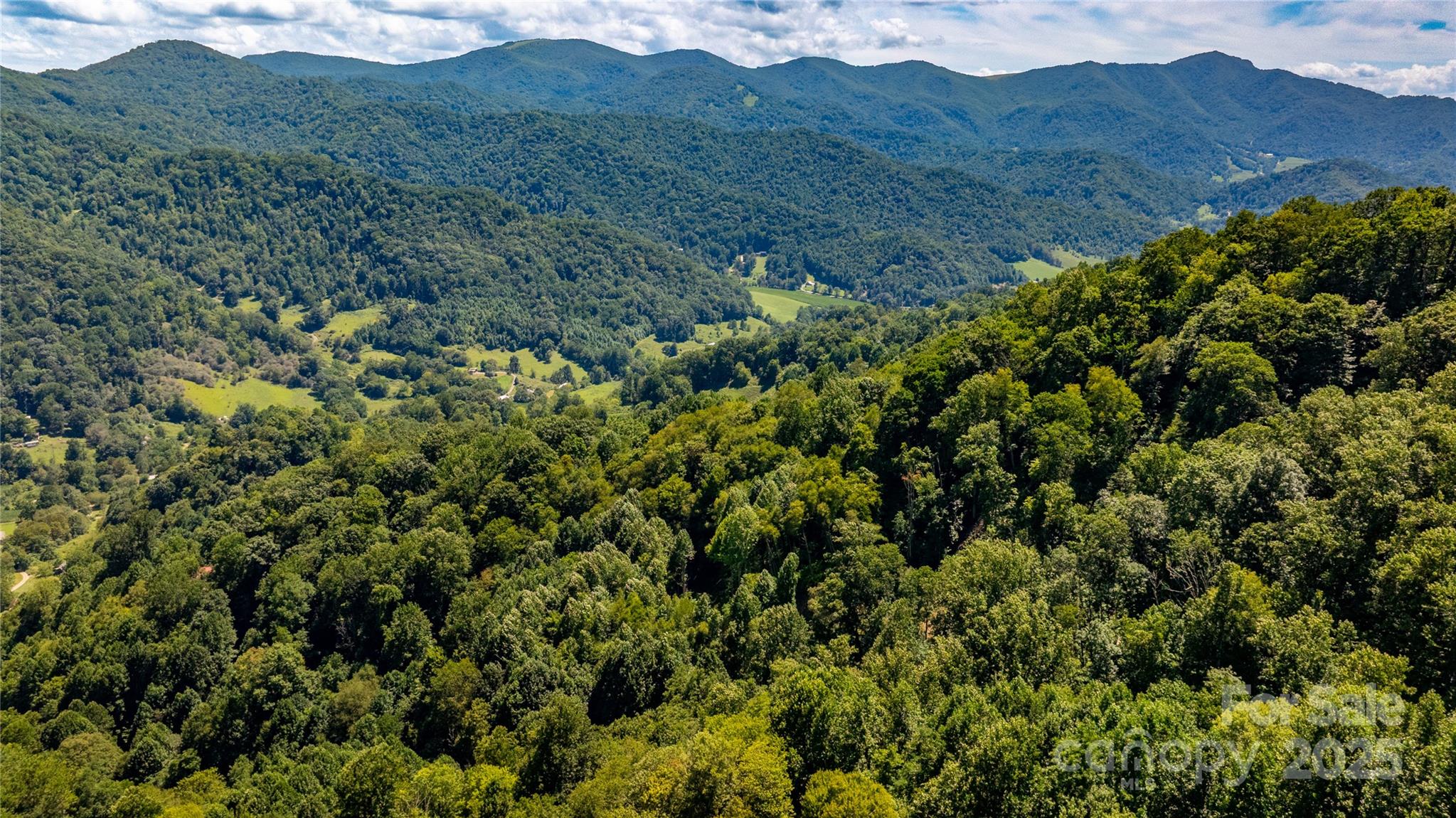 0000 Short Ridge Lane Clyde NC 28721