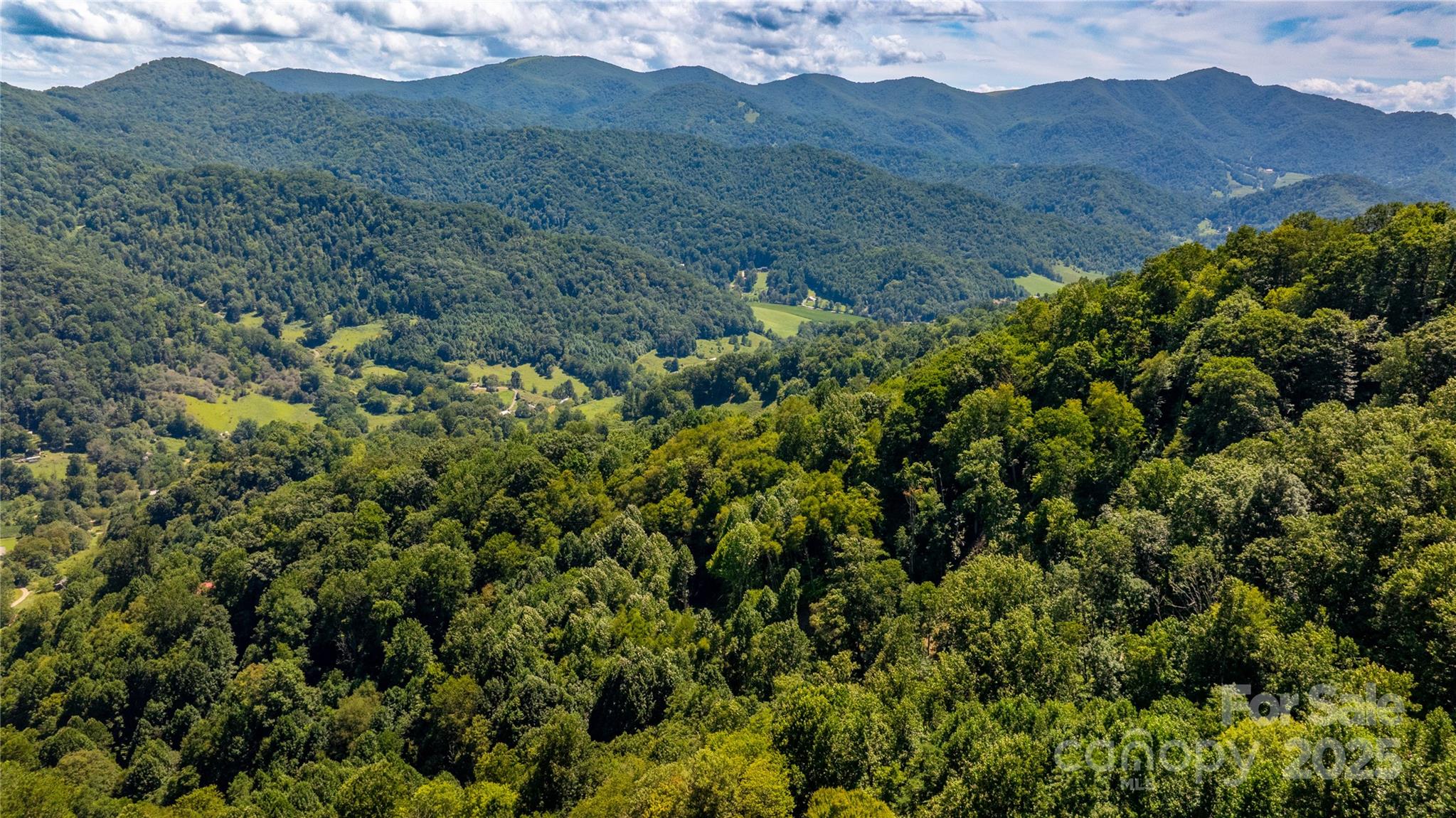 0000 Short Ridge Lane Clyde NC 28721