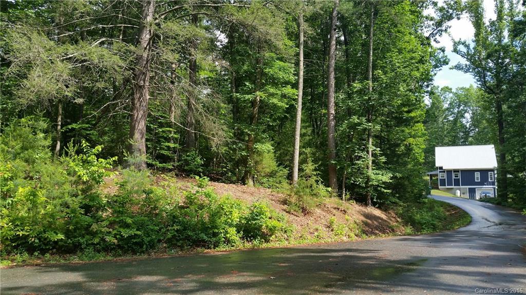 11 Nanas Branch Road Asheville NC 28806