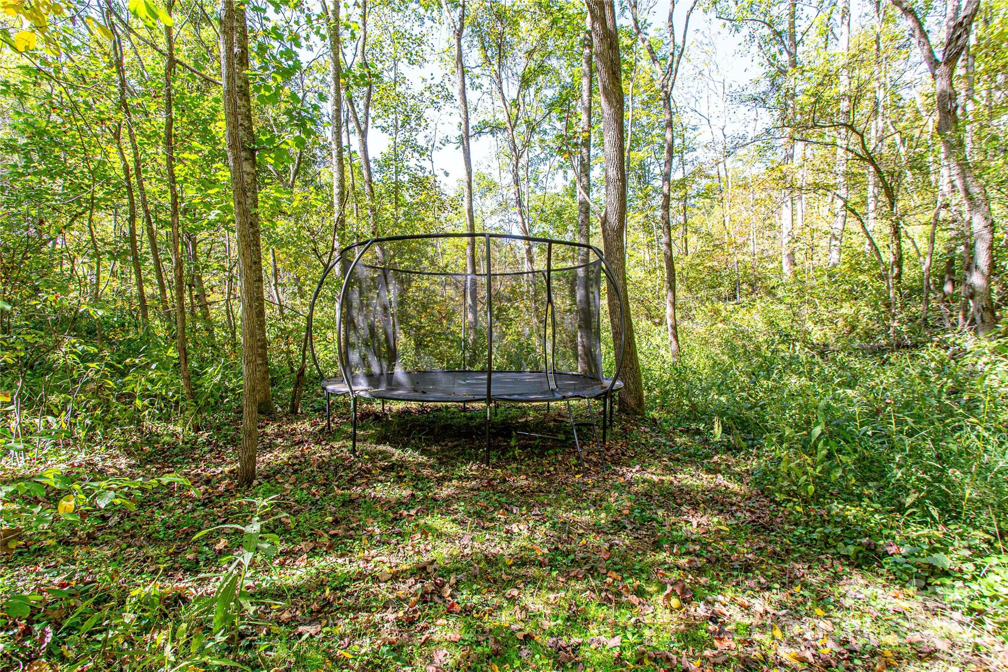 10 Dodd Road Barnardsville NC 28709