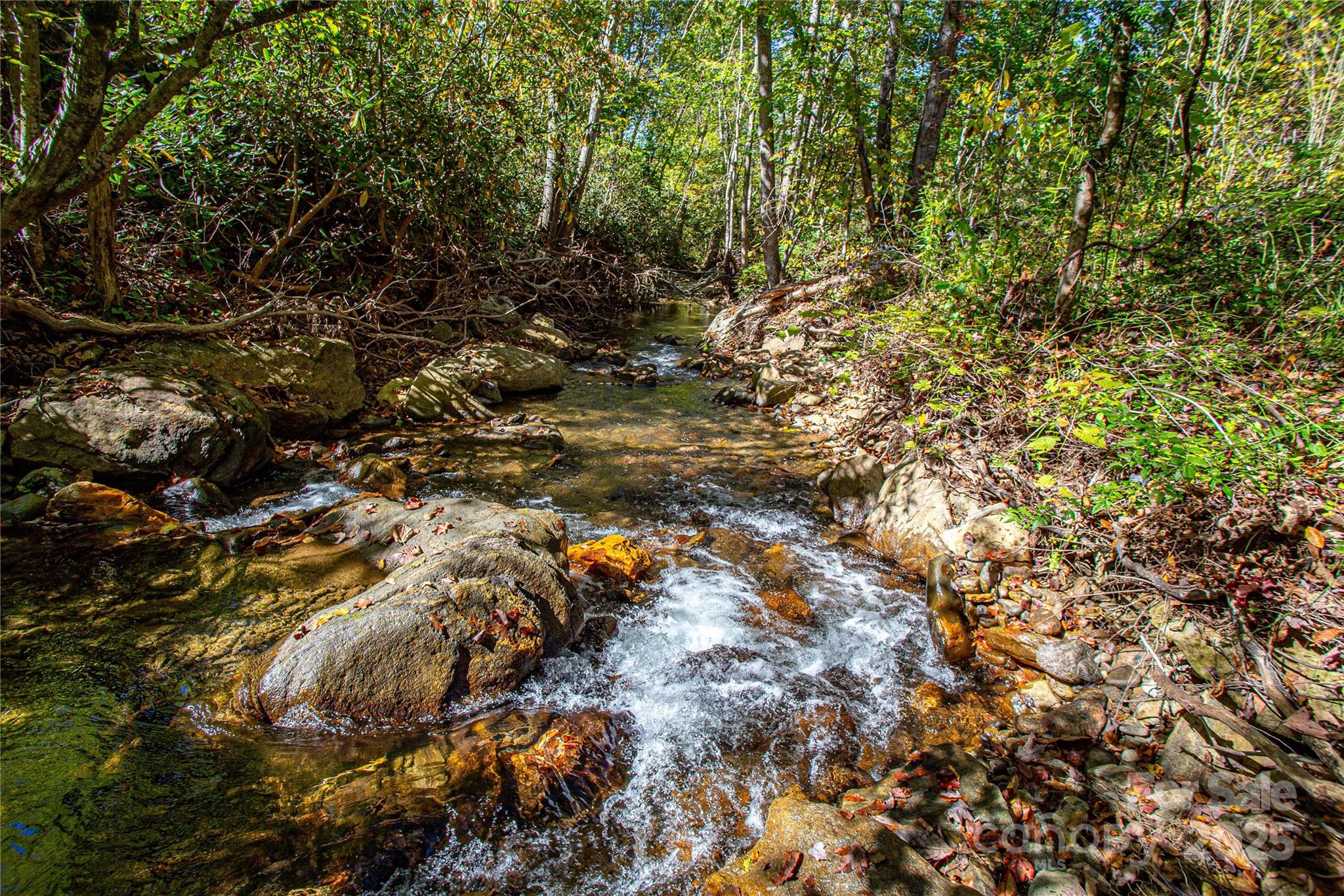 10 Dodd Road Barnardsville NC 28709