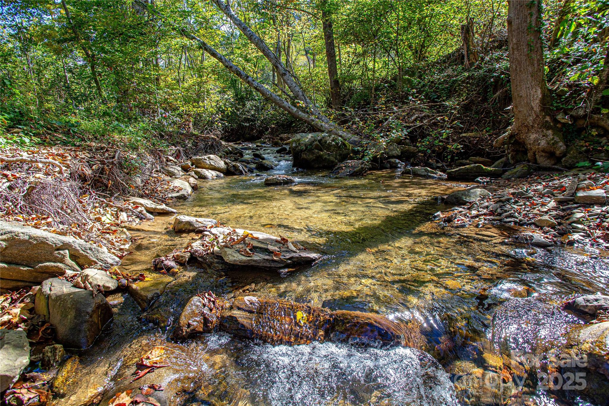 10 Dodd Road Barnardsville NC 28709