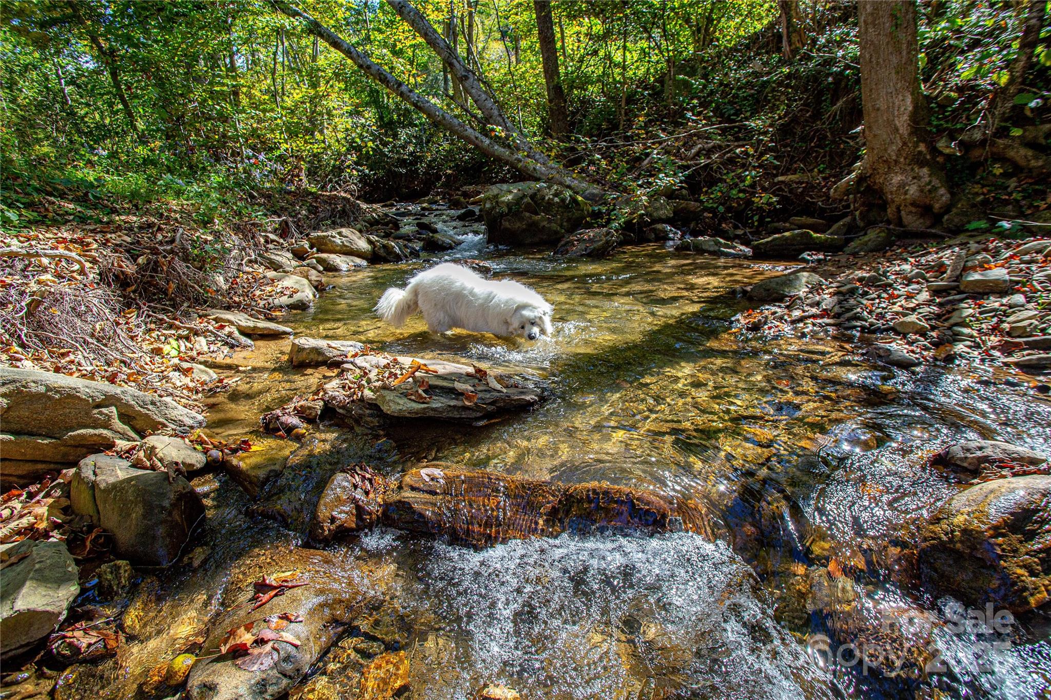 10 Dodd Road Barnardsville NC 28709