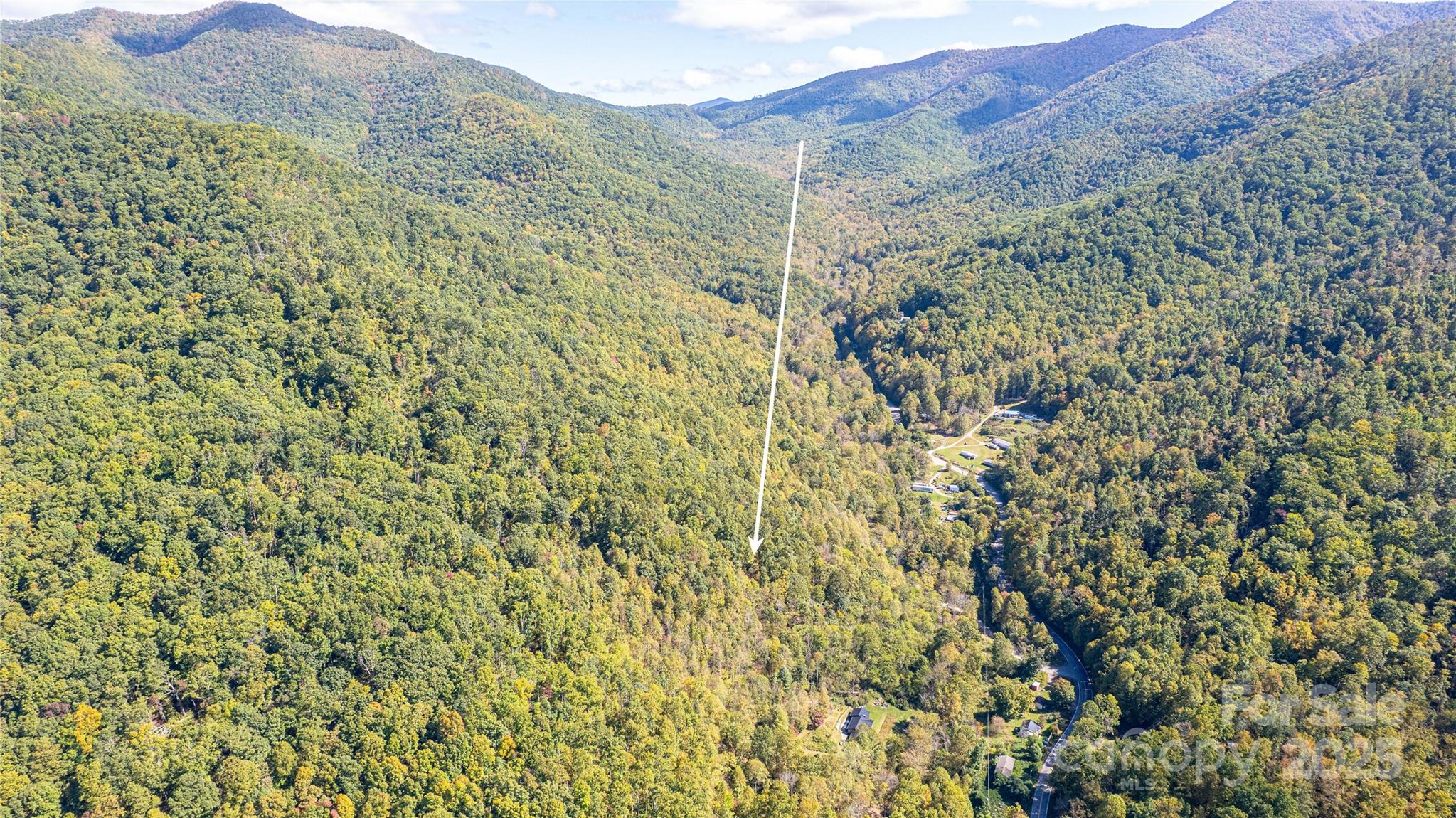 10 Dodd Road Barnardsville NC 28709