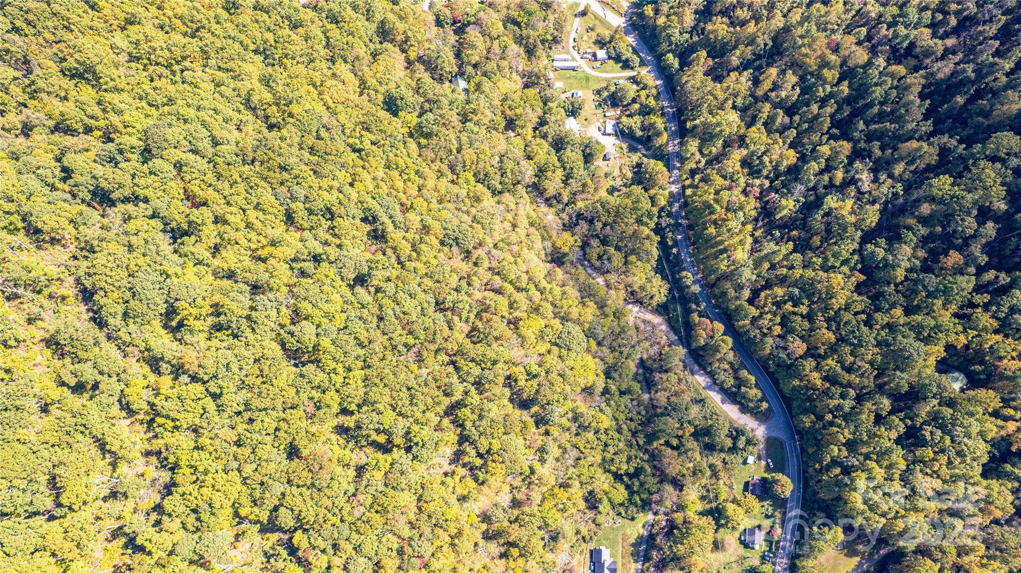 10 Dodd Road Barnardsville NC 28709