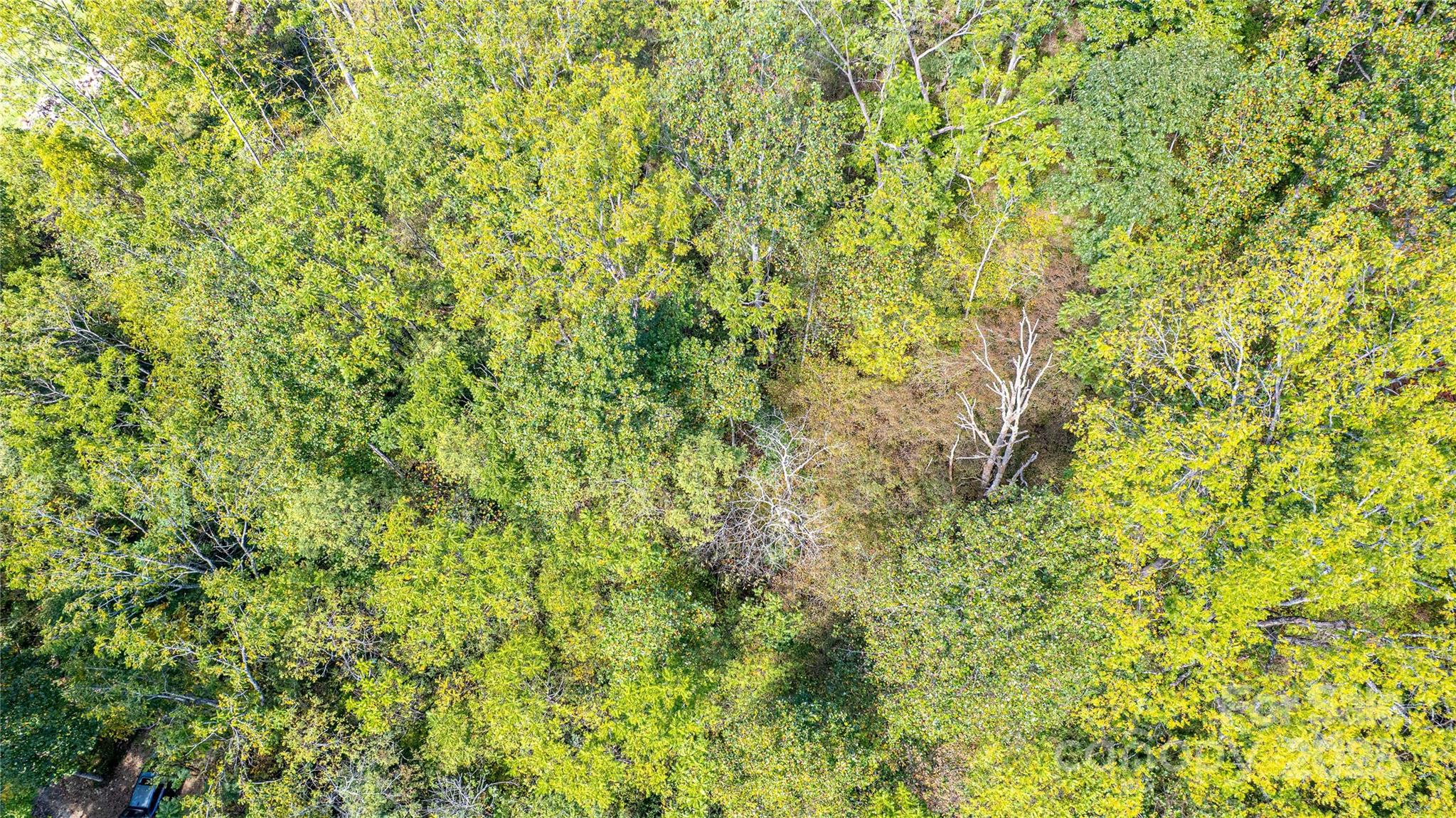 10 Dodd Road Barnardsville NC 28709