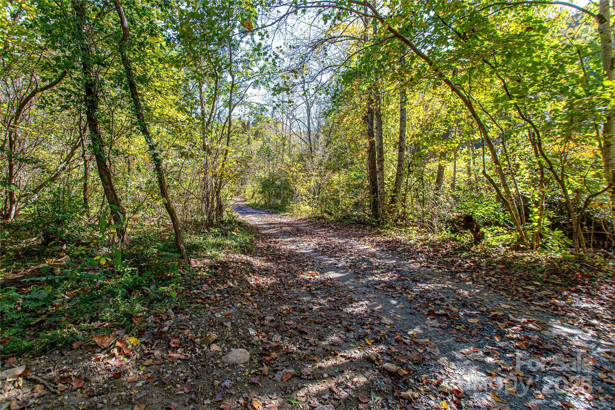 10 Dodd Road Barnardsville NC 28709