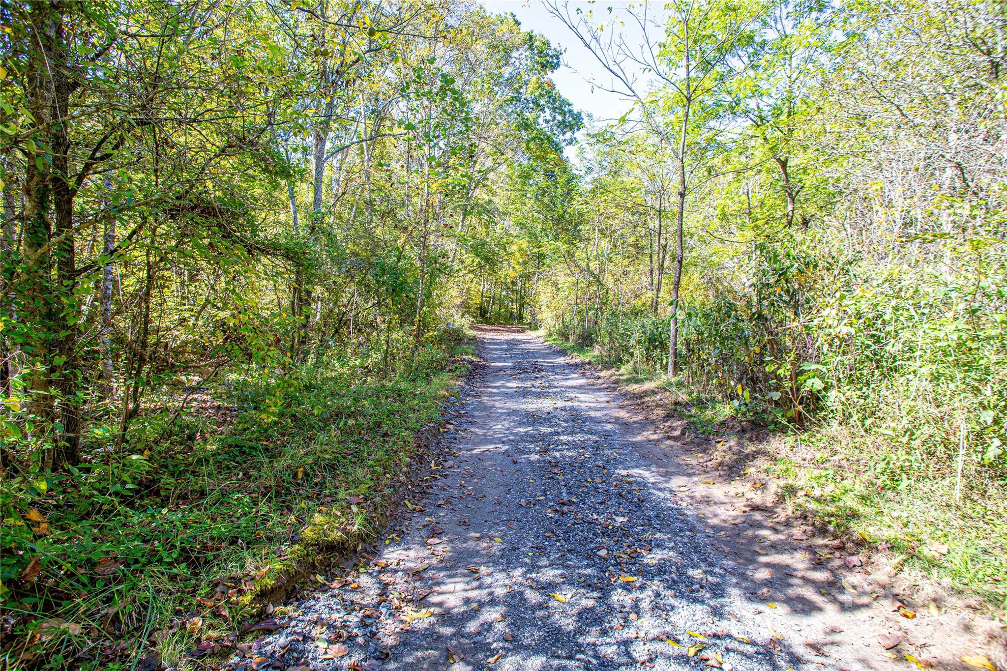 10 Dodd Road Barnardsville NC 28709